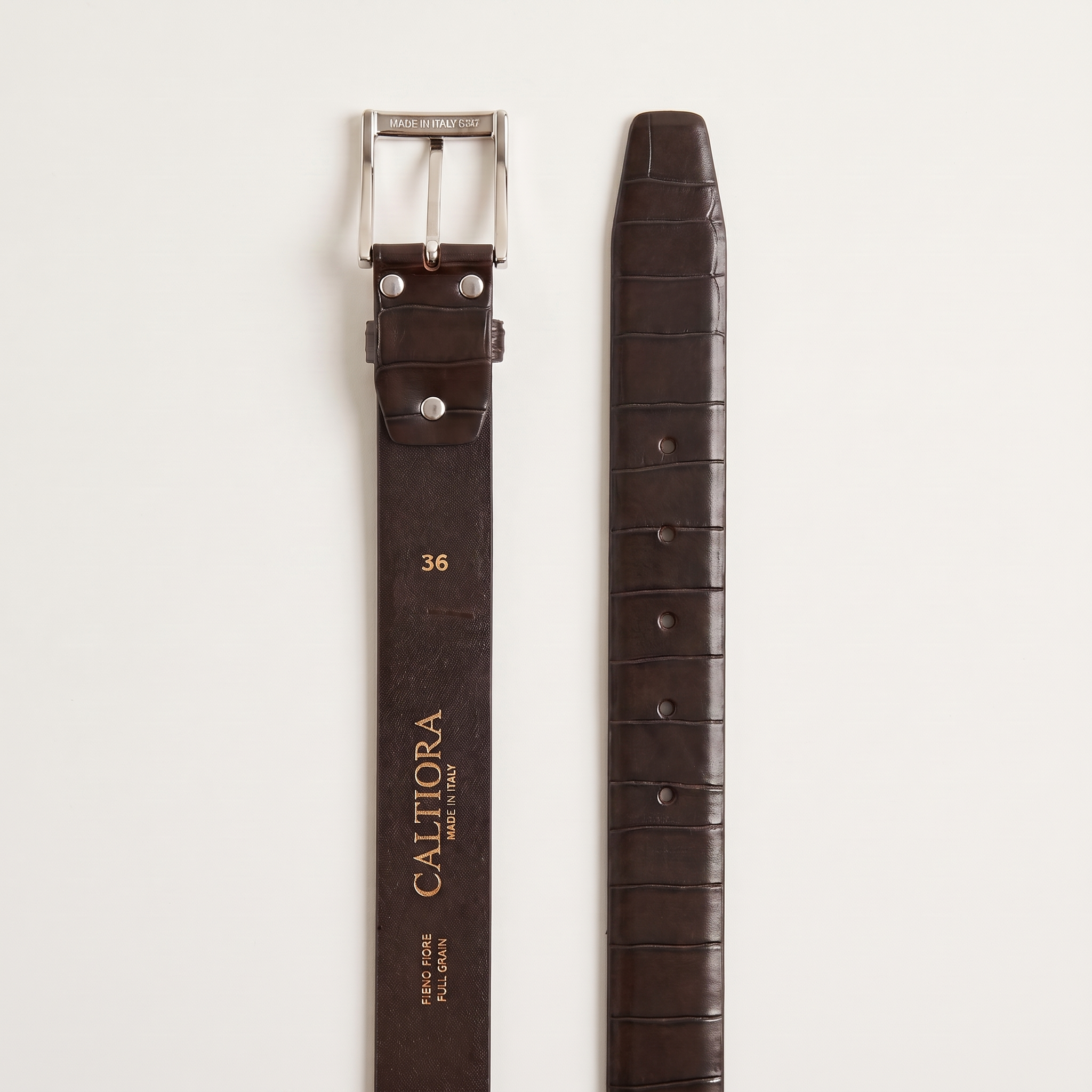 Coccodrillo Belt